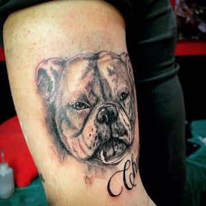 Perro 2