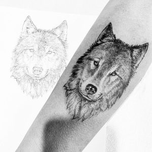 Tattoo Lobo Tattoo Lobo